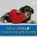 (주)멍이사랑 이미지