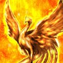 피닉스 이미지