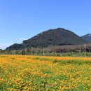 황산공원 이미지