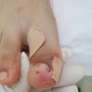레푸스(수지구청점)