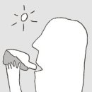 포인트의원 이미지