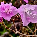 죽전(서울) 이미지