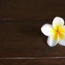 미예담산부인과의원 이미지