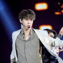 도영 티브이데일리