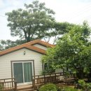 사랑채민박 이미지