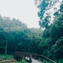 냉천골민박 이미지