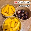 더 행복식당(도시락) | 나트랑 깜란 과일 도시락 모모프루츠 리조트 배달 안되는 곳 포장 후기