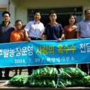 여수농장 이미지