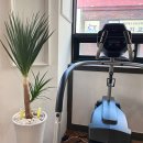 바디와이짐 이미지