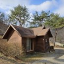 용현자연휴양림 이미지