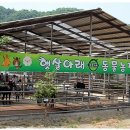 천등산농장 이미지