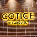 코티스 더 브릿지 이미지