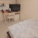 스테이42 이미지