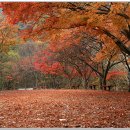 진서중학교 이미지