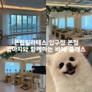 현대고등학교 | 인증한 전문센터에서 체험한 바레 클래스 솔직후기 (feat. 강아지와 함께 루프탑에서 하는 바레 클래스)