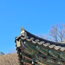 양지말농장 이미지