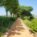 회산백련지 소공원 이미지