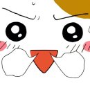 픽쳐레스크 이미지