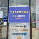 로이안경 | [내돈내산] 병점구 반월동 로이안경 키즈안경 구매후기 선글라스 1+1 이벤트
