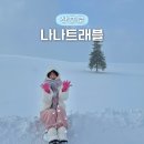 삿포로패키지 북해도온천여행 단독패키지 나나트래블 추천