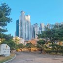 매화공원 광장 이미지