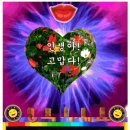 🍒한해의 절반을 뒤돌아보며 '인생아! 고맙다!'-좋은글 중에서 이미지