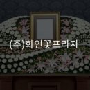 (주) 화인꽃프라자