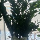 인천제일큰약국 이미지