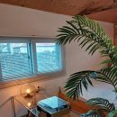 제주독채펜션돌집감성숙소돌담점 | 제주도 독채펜션 감성숙소 돌담너머집 돌담점 이용후기