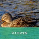 미소인 | 덕양구 부모님 위한 추천 요양원 미소인요양원 어르신을 위한 안전한 선택