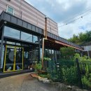 애견스토리 | [내돈내산]천연 애견운동장이 있는 경기 용인 애견카페 펫앤스토리 방문 후기