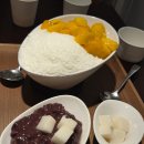 더설약수 | [약수] 더설 약수 본점 내돈내산 후기 (약수역 빙수 맛집, 100% 국산 팥, 팥빙수 맛집)