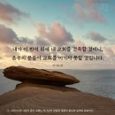반석건축