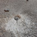 진보주유소 이미지