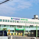 누가의료기 사상덕포점 | 부산 북부면허시험장 운전면허갱신 후기