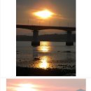 대포갯벌 이미지