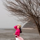 카페 곳 Daum카페