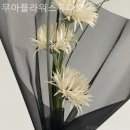 플라워스튜디오설렘