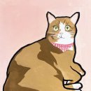 위드마롱 이미지