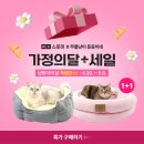 동동이네