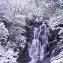 웰컴부산 이미지