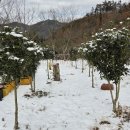 박남재농장 네이버블로그