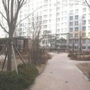 배곧골드클래스아파트 이미지