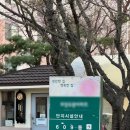 경기도 수원시 권선구 덕영대로1207번길 26-6 이미지