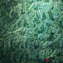 [카메라 안으로 들어온 미술관] 미술여행...안동 송강미술관 방문기 이미지