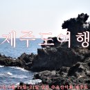 2017년 4월 19~21일 당산동 수요산악회 제주도 여행 이미지