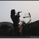 솔베르크 이미지