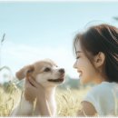 연세미소애치과의원 이미지