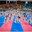 베스트세심태권도 이미지