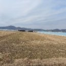 대산면910 이미지